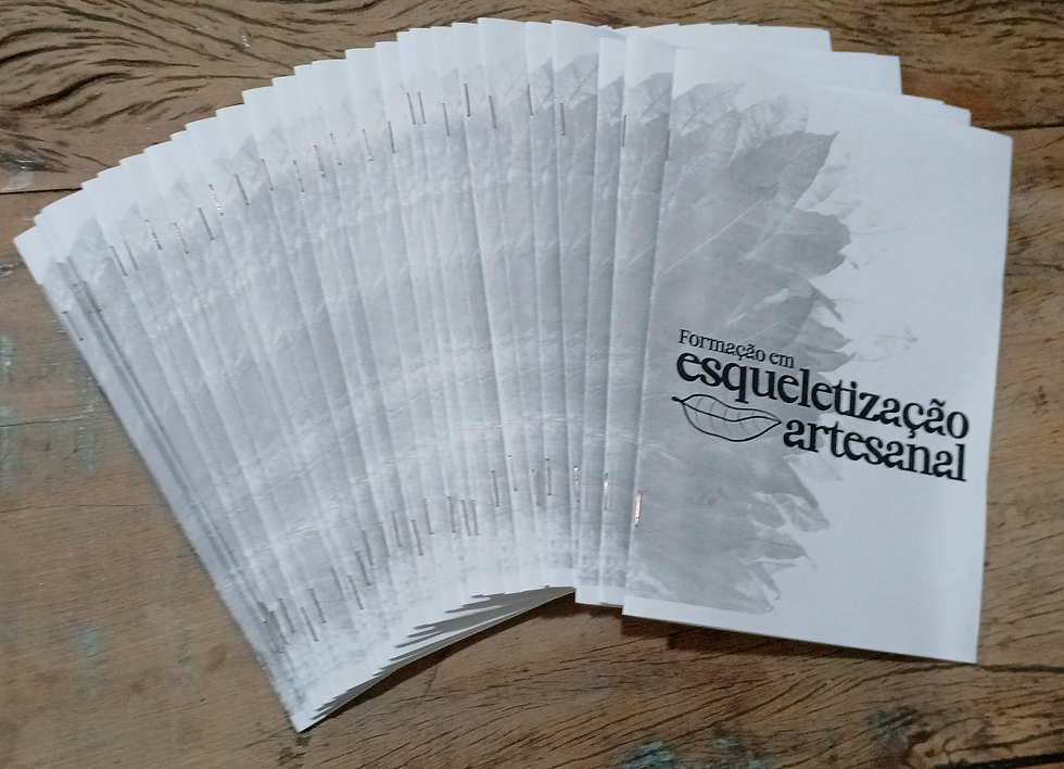 Esqueletização_Apostila-2