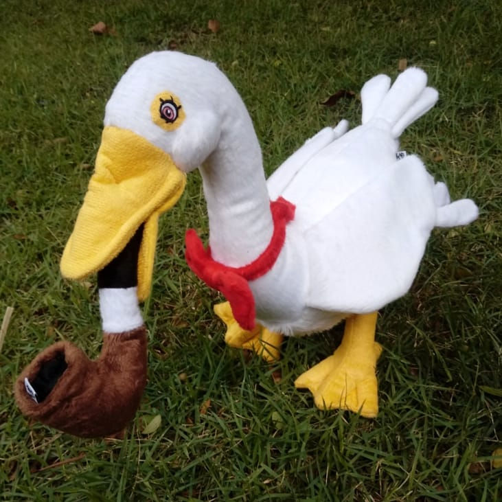 IMG_20191118_172328_923