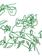 Lendas de Paraty no Lar dos Idosos