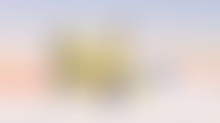 Holiday Blind Box