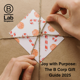 B Corp Gift Guide Joy with Purpose