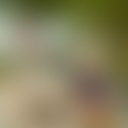 New Year, New Impact Resolutions