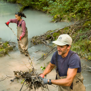 New Year, New Impact Resolutions