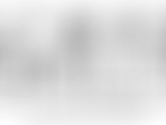 logo score skills gris