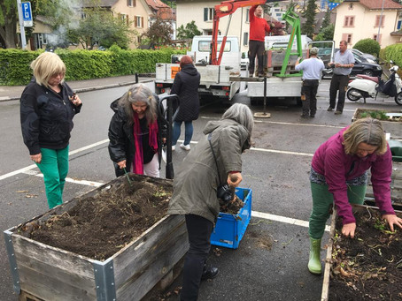 Garten jEden - Pflanztag