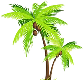 palm- ree.png