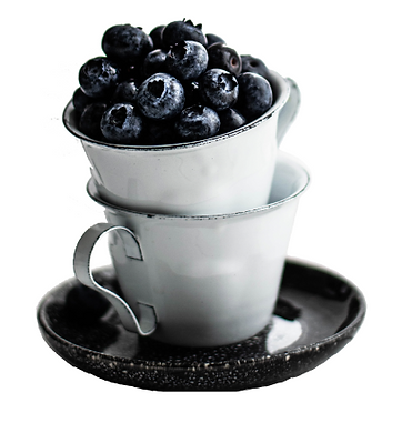 elderberry.png