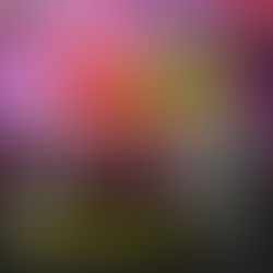 300: Cosa abbiamo imparato dopo 300 episodi (LINK)