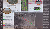 CAPABLANDA-LA PAZ-G10.jpg