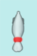 Pedunculo_2x.png