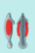 Costados_2x.png