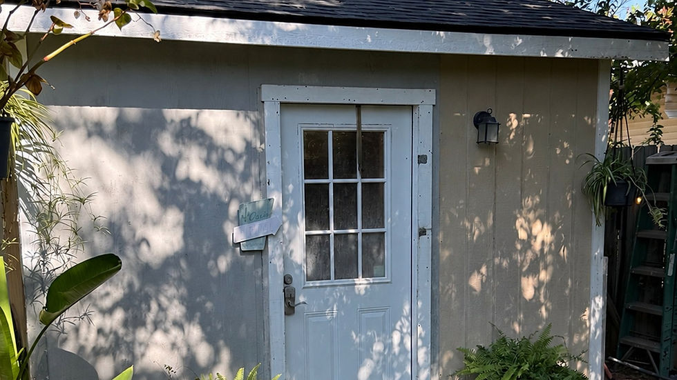 It Started in a She-Shed
