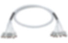 Trunk Cable Loomed, Cat6, 6x4P, 650MHz 7.5m - P/N 803888 | Matrix Global Networks