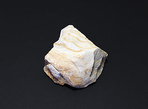 AdobeStock_217148546.jpeg