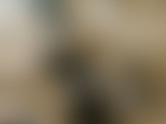 Teamwork in Action: The Heartbeat of Our Design Process