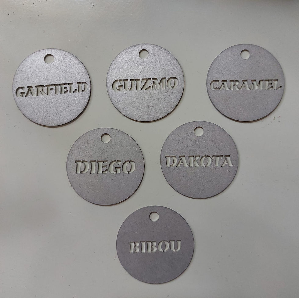 Miniature : MEDAILLE RONDE POUR ANIMAUX MOYENNE | Accessoires métal | Découpe laser | SE.ME.CO