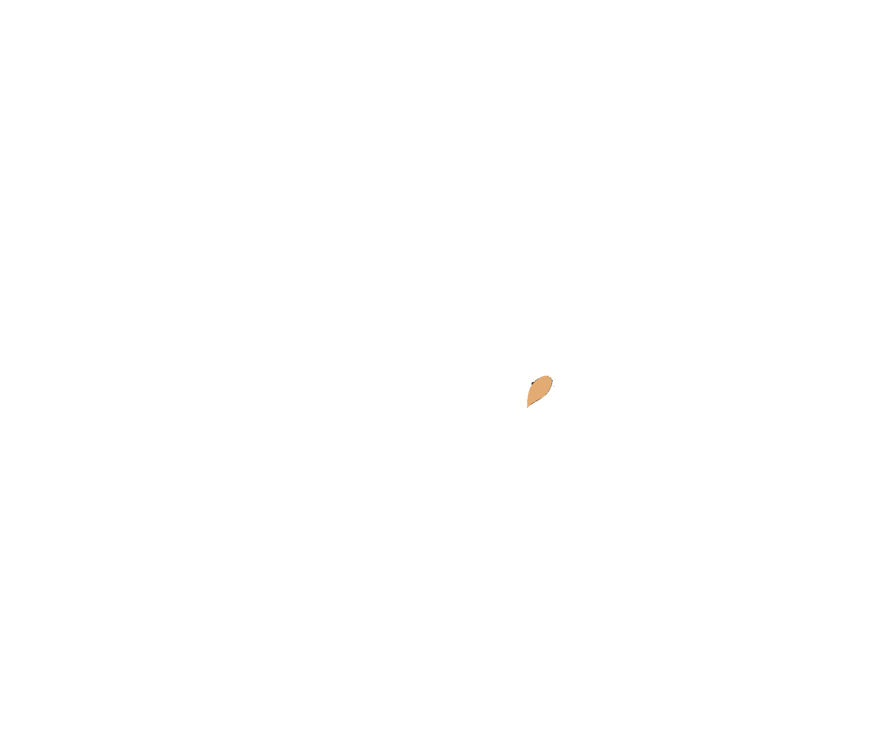 Animación_TROPI_.gif