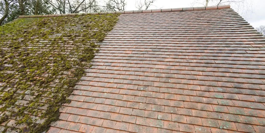Moss-Free-Roof-Cleaning.jpg