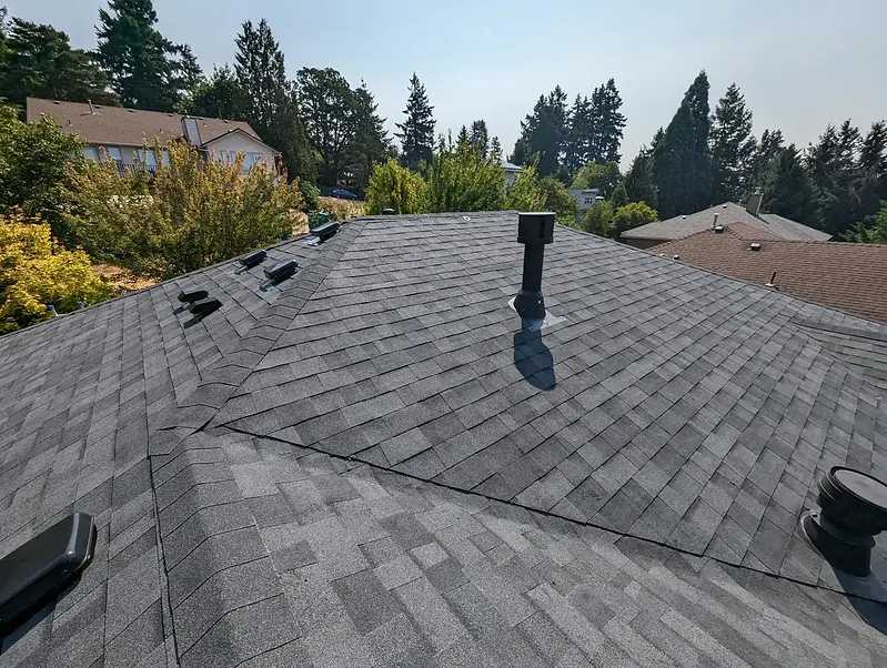 Image shot above the roof