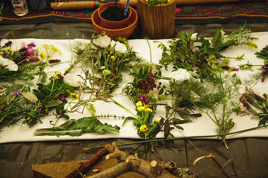 Buddhy - Herbal Path Final-978.jpeg