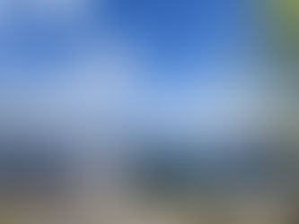 Nothing I Want More Than