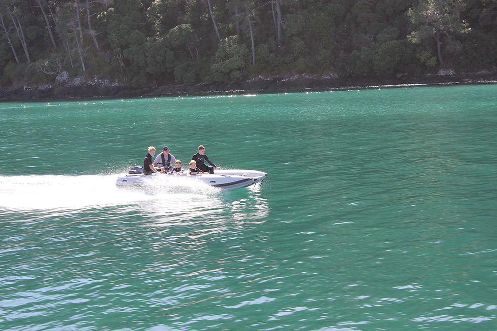 Thumbnail: Inflatable Boat - T460LX