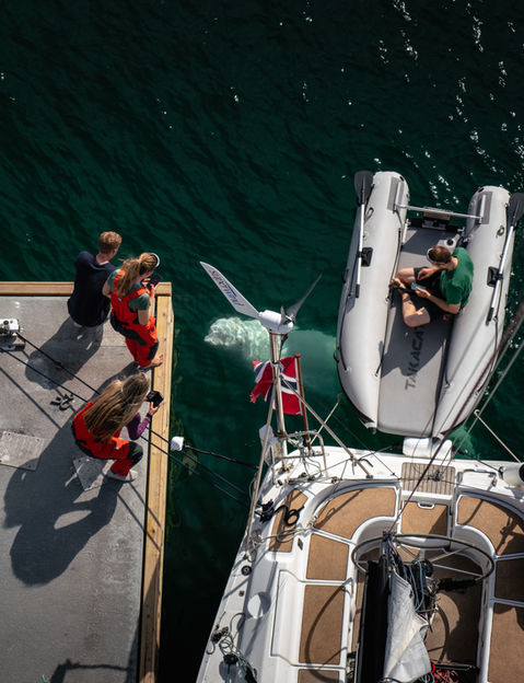 Hvaldimir (foto-tordkarlsen)-09498.jpg