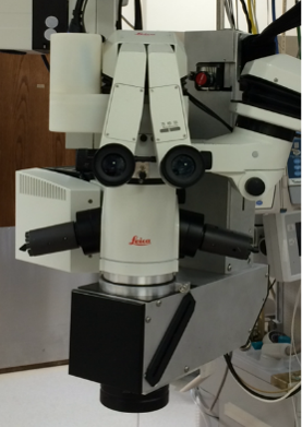 last-generation scanhead closeup