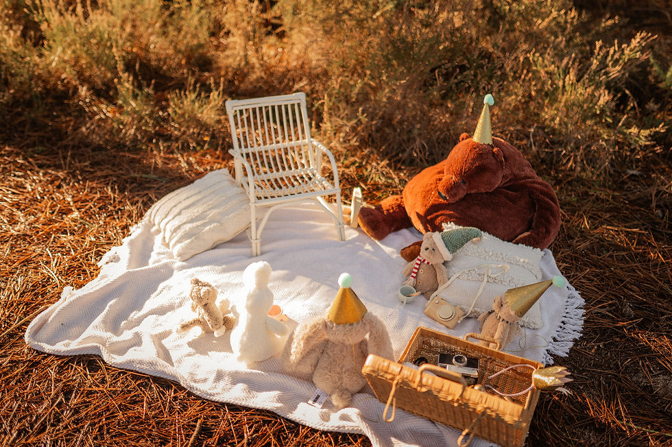 décor photo enfant bébé anniversaire - photographe malorie roborel