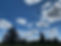 IMG_7652.jpeg