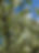 IMG_7662.jpeg