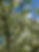 IMG_7662.jpeg