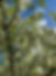 IMG_7662.jpeg