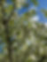 IMG_7662.jpeg