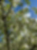 IMG_7662.jpeg