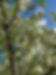 IMG_7662.jpeg