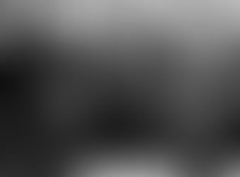 The Meaning of 'Totalitarian'