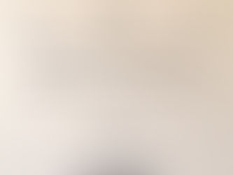 SEMINARIO DI AGOPUNTURA VETERINARIADesio – 18 Febbraio 2001 (Italia) Clinica veterinaria Dott. Tomassini