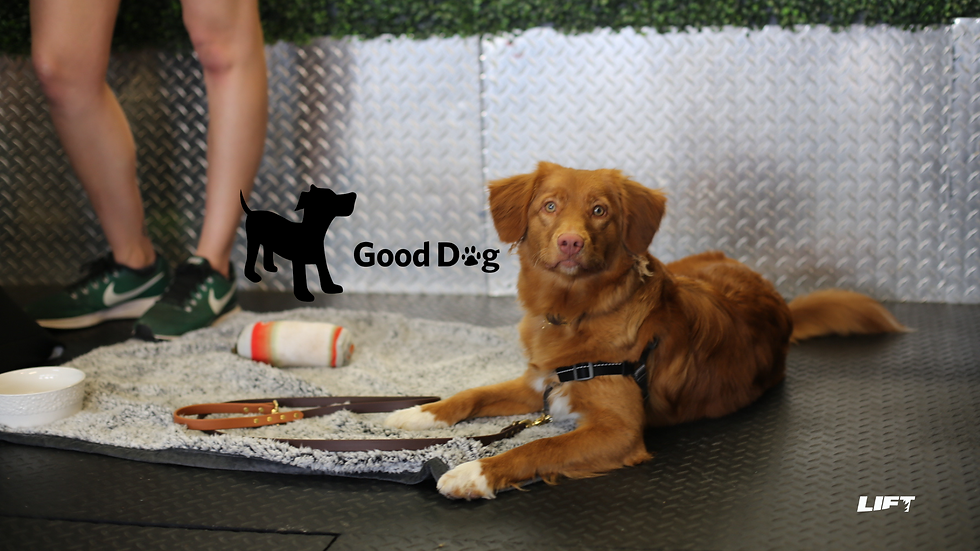 Good Dog at LIFT Fitness & Physiotherapy