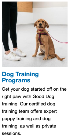 The Good Dog Ranch at LIFT 