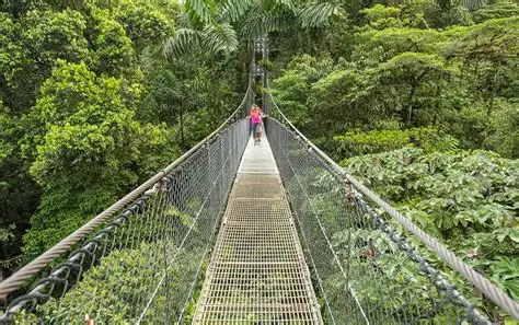 Puente colgante en Místico Hanging Bridges Tour