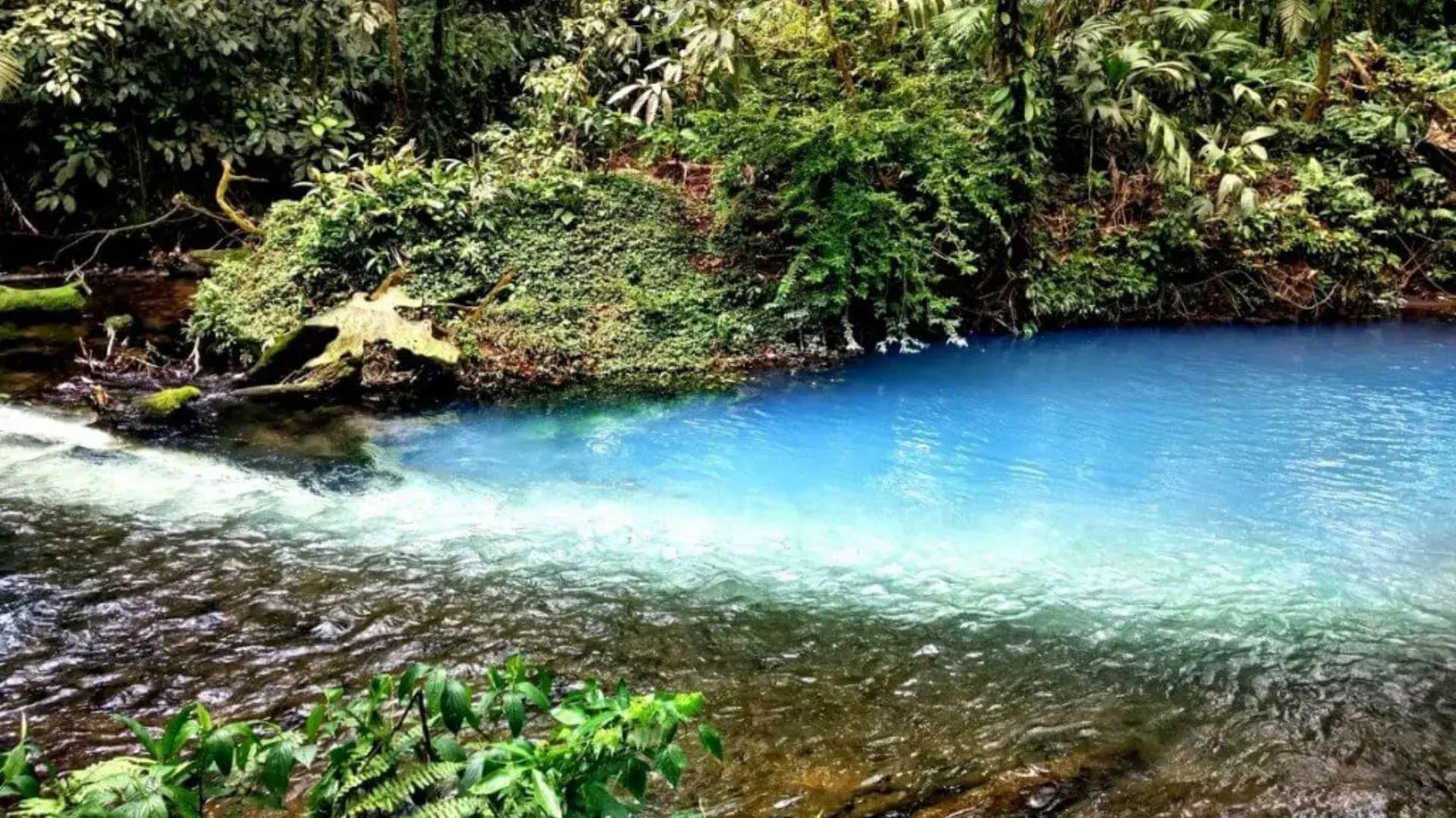 Aguas turquesas del Río Celeste en Tenorio, Costa Rica.