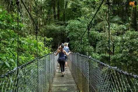 Turistas cruzando un puente colgante en Místico Park.