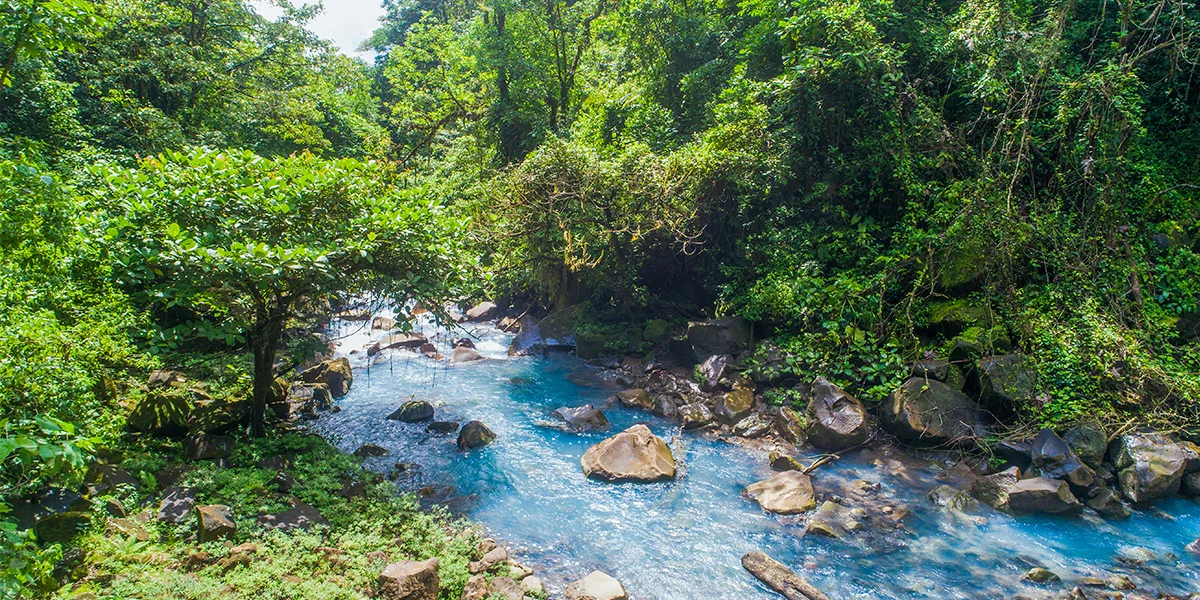 Río Celeste fluyendo entre la densa selva tropical