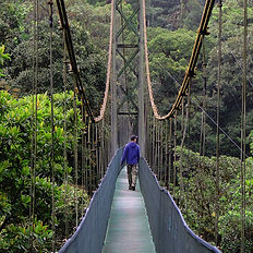 Persona cruzando un puente colgante en Mistico Park