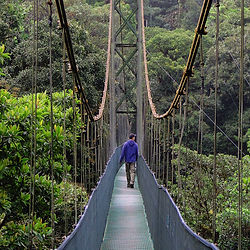 Persona cruzando un puente colgante en Mistico Park