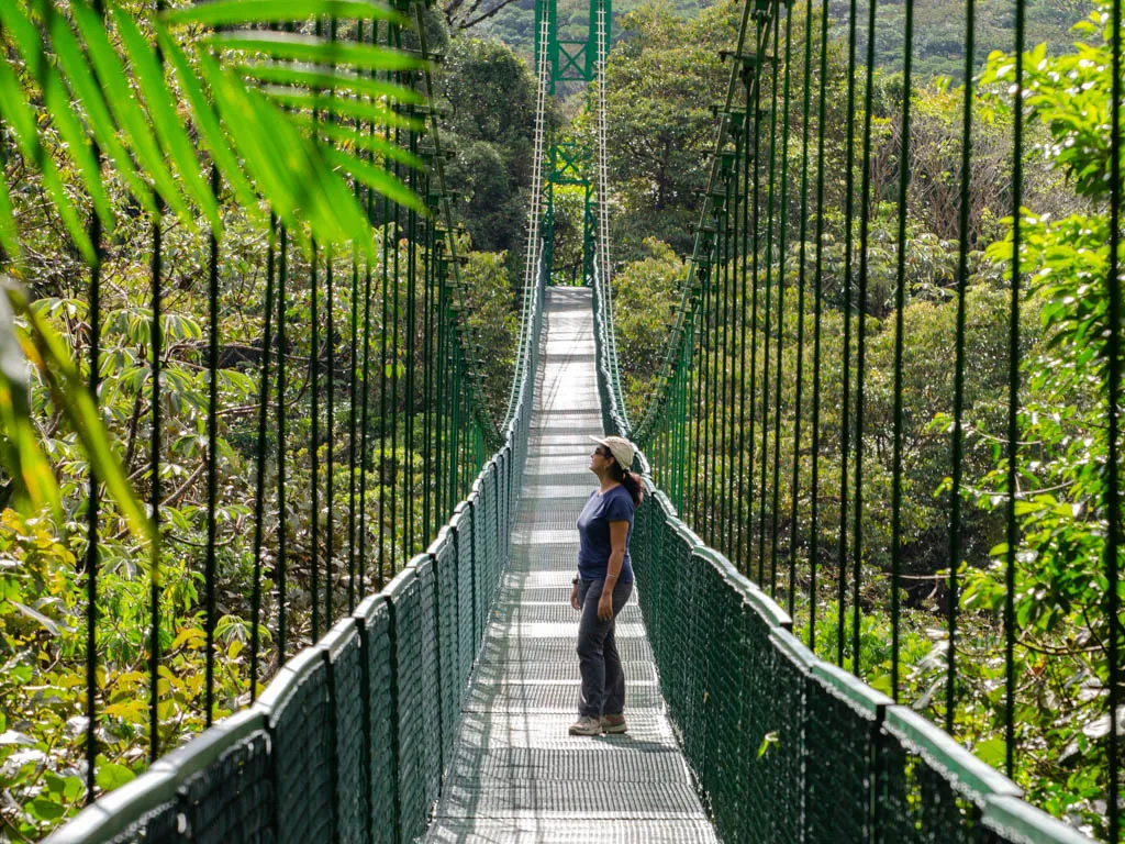 Persona en puente colgante durante Half Day Hiking Tour.