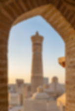 iStock-1474888379.jpg