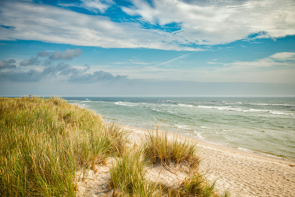 iStock-981026684.jpg