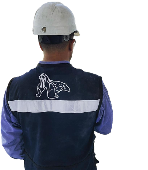 Trabajador MAESE